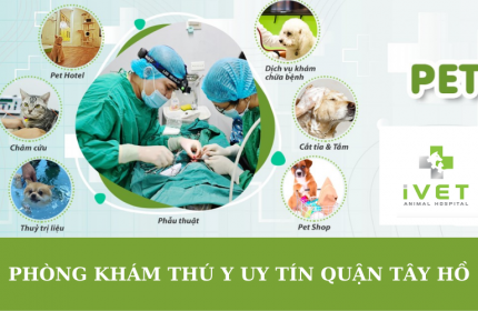 Lưu ý khi lựa chọn phòng khám thú y uy tín tại quận Tây Hồ, Hà Nội